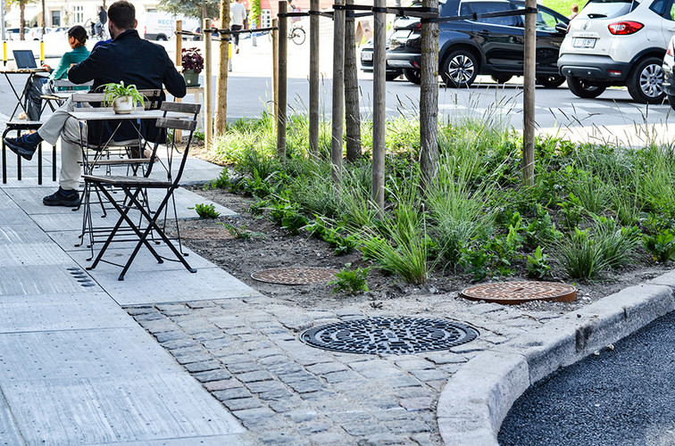 The collected water in the ACO Stormbrixx block drain system is then used to irrigate an adjacent plant bed