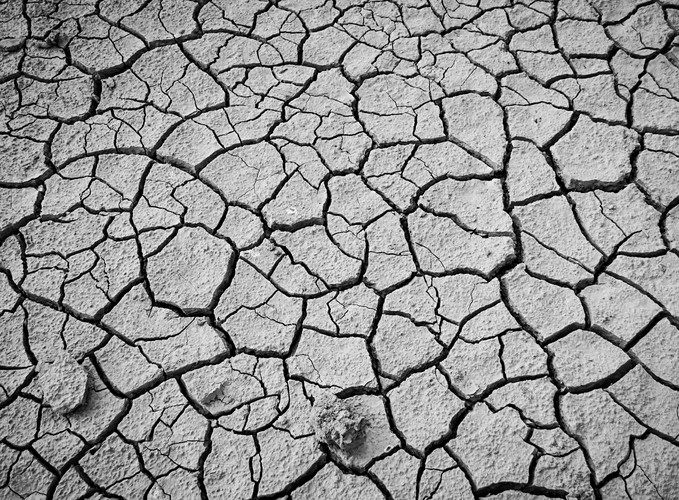 The Voronoi pattern in bursting soil