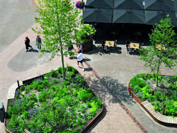 Wie verbessern grüne Städte unser Leben und warum brauchen wir mehr davon?