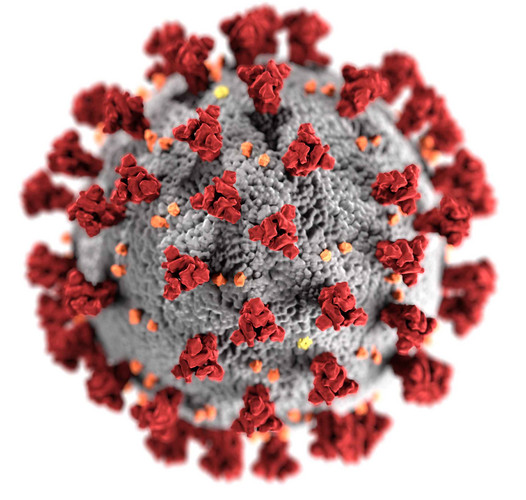 Die Oberfläche des Coronavirus mit farbig gekennzeichneten Proteinen