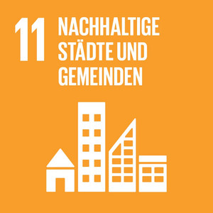 SDG-icon-DE-11