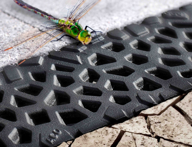 In the wings of a dragonfly you can see the Voronoi structure