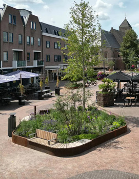 Referenz-raalte-teaser-aco Ref