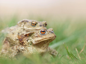 LinkedIn 1080x1350 Blanco Wnc V2