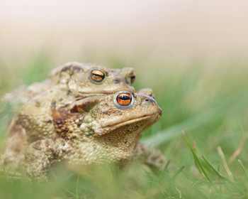 LinkedIn 1080x1350 Blanco Wnc V2