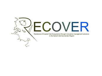 Recover Logo Mit Text