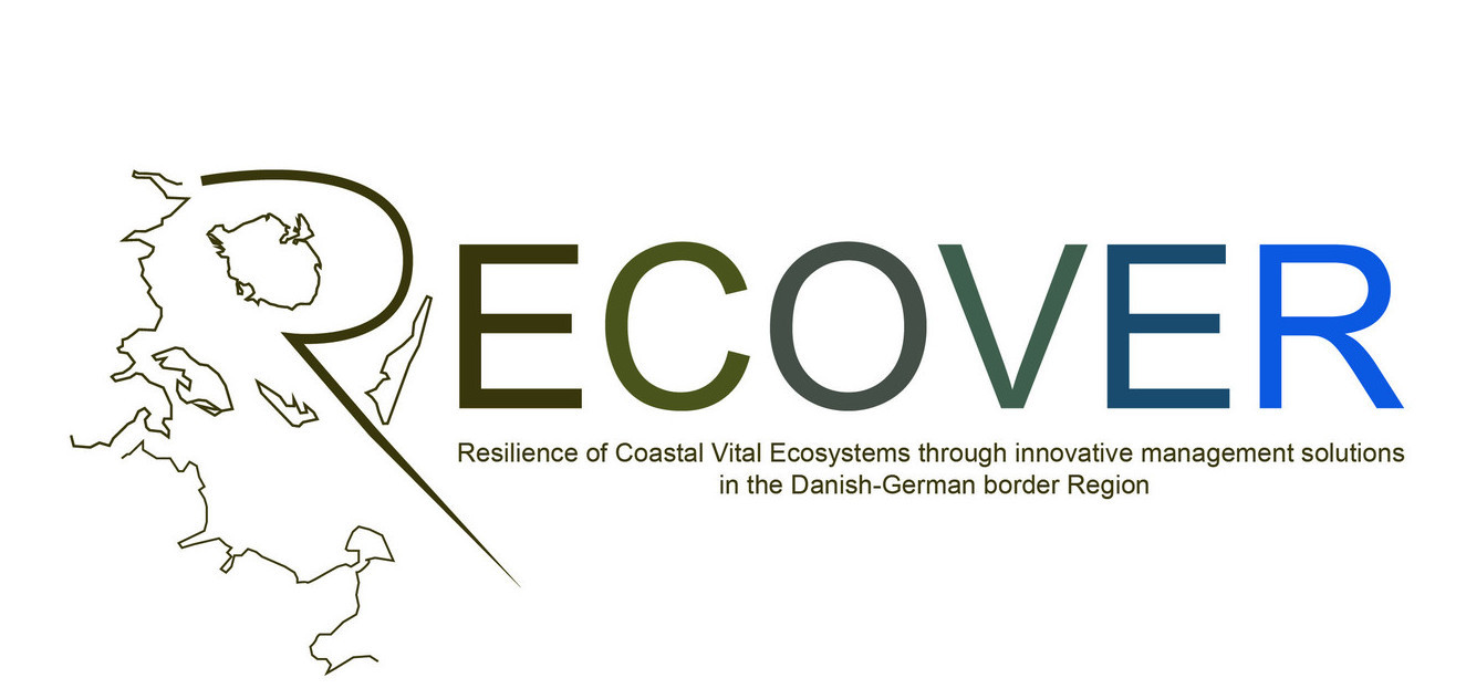 Recover Logo Mit Text